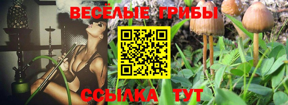 Галлюциногенные грибы Psilocybe  Псилоцибиновые грибы Magic Shrooms  Прохладный  Вход с VPN 