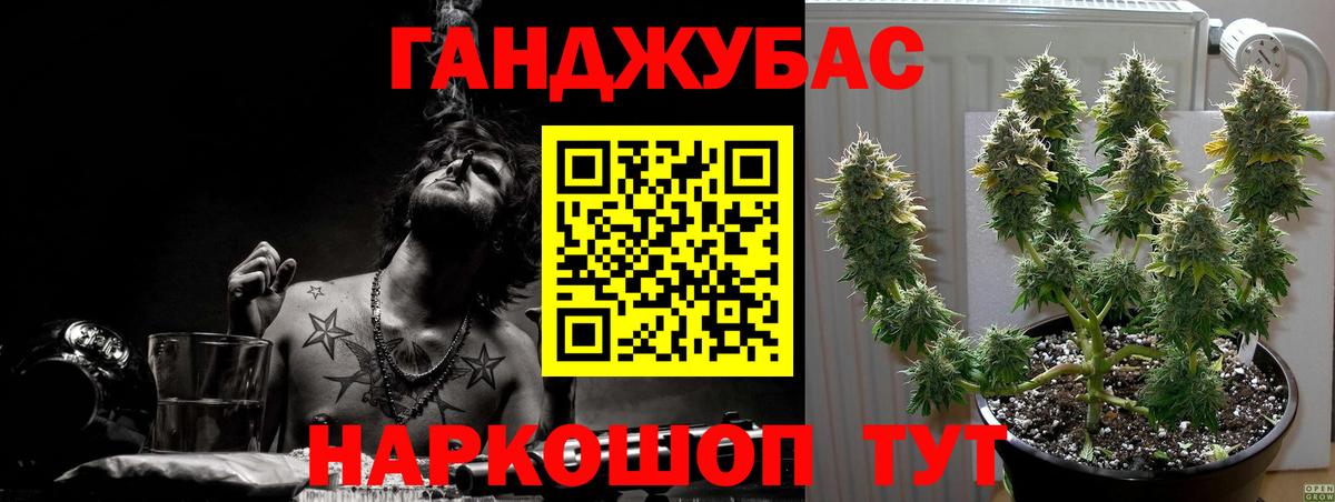Бошки марихуана конопля Прохладный